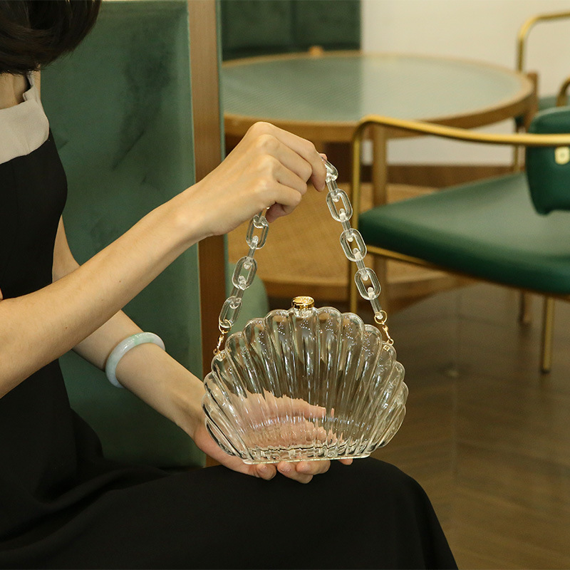Transparent Acrylic Shell bag  - Women Bags Ysl review and price