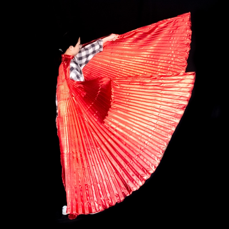 Belly Dance Wings Isis Wings A - Women Bags In Egypt review and price